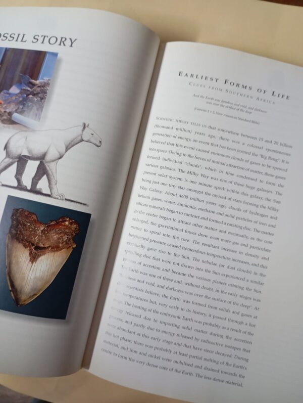 Life Etched In Stone: Fossils Of South Africa – Colin MacRae secondhand book