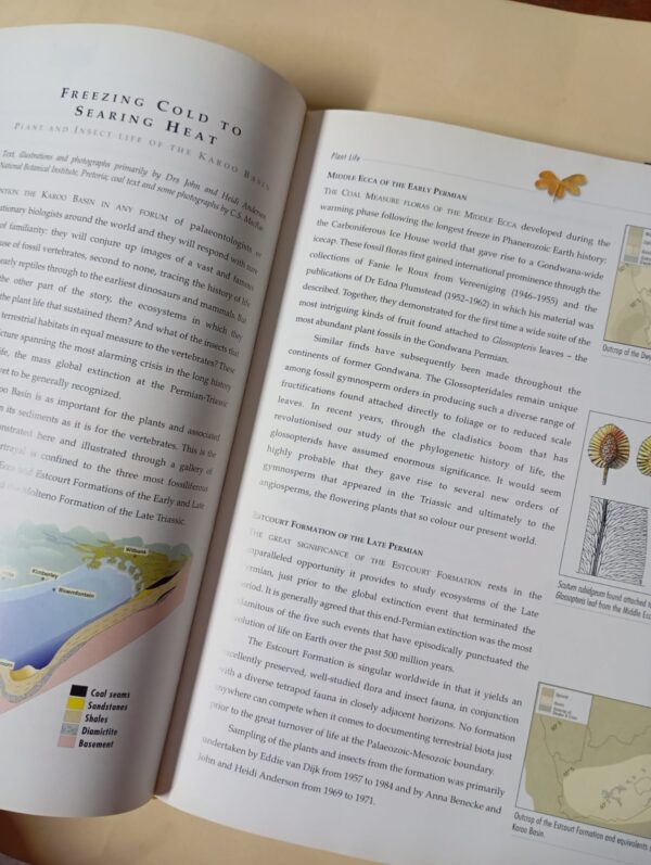 Life Etched In Stone: Fossils Of South Africa – Colin MacRae secondhand book