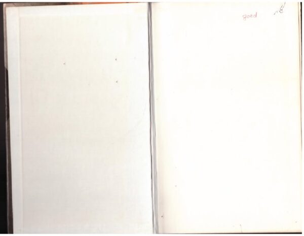 Magspel — André Pretorius secondhand book