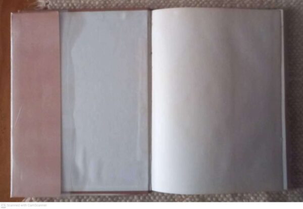 Skrywers In Woord En Beeld: P.G. Du Plessis — J.H. Senekal secondhand book