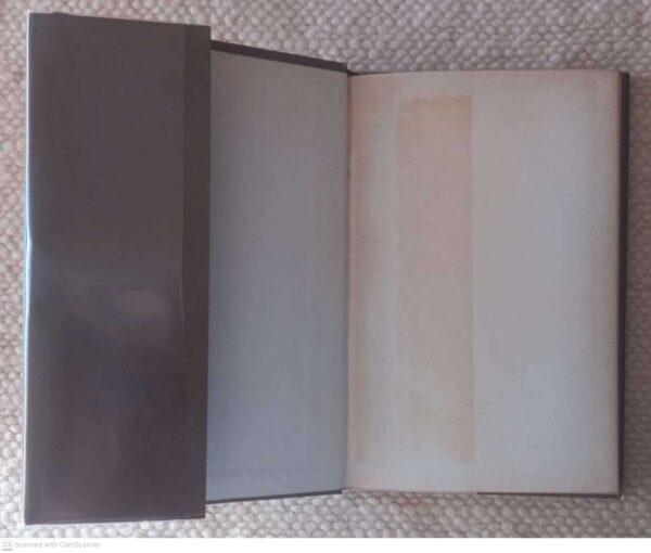 Pille Vir Servette (Vertellings 4) — Jan Spies secondhand book