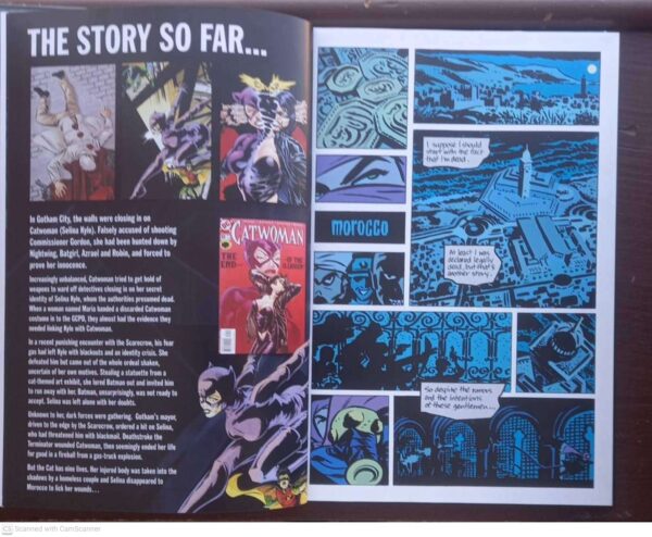 Selina6 Catwoman: Selina’s Big Score (DC Comics Graphic Novel Collection, Vol. 28) secondhand book