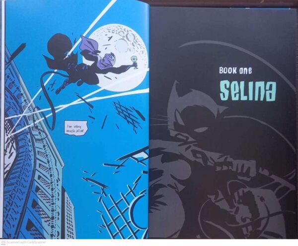 Selina7 Catwoman: Selina’s Big Score (DC Comics Graphic Novel Collection, Vol. 28) secondhand book