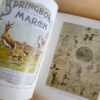 South Africa’s Rugby Legends – Chris Schoeman secondhand book