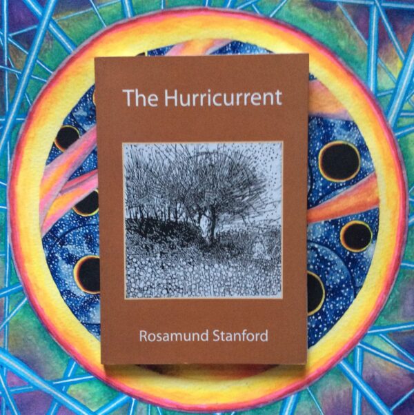 The Hurricurrent – Rosamund Stanford secondhand book