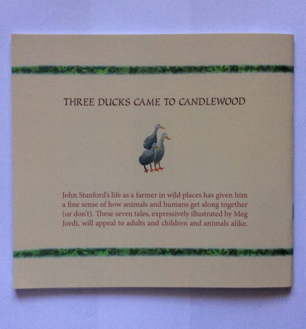Three Ducks Came To Candlewood & Other Stories – John Stanford secondhand book