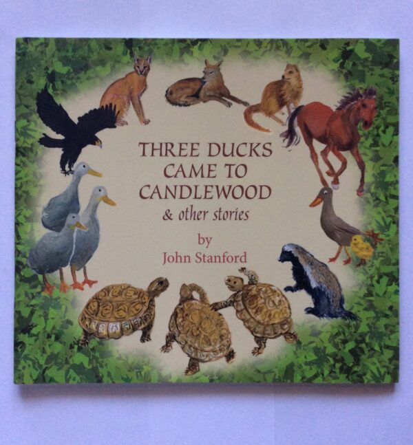 Three Ducks Came To Candlewood & Other Stories – John Stanford secondhand book