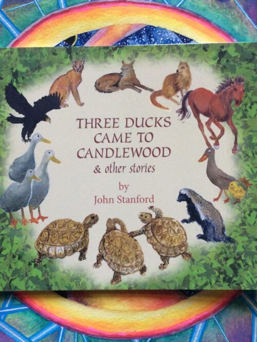 Three Ducks Came To Candlewood & Other Stories – John Stanford secondhand book