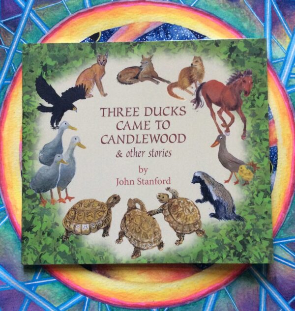 Three Ducks Came To Candlewood & Other Stories – John Stanford secondhand book