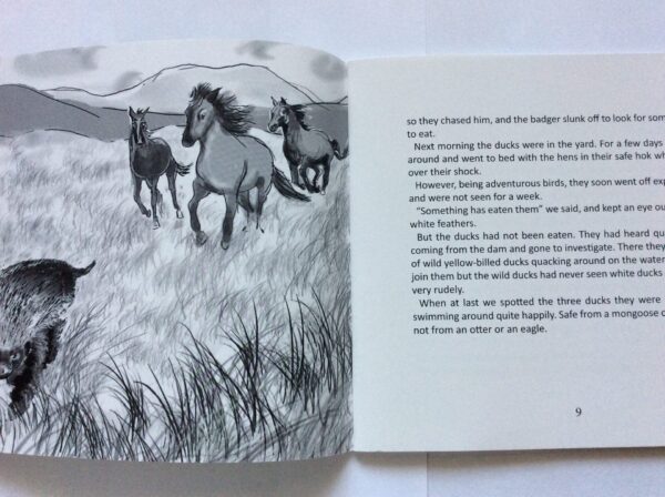 Three Ducks Came To Candlewood & Other Stories – John Stanford secondhand book