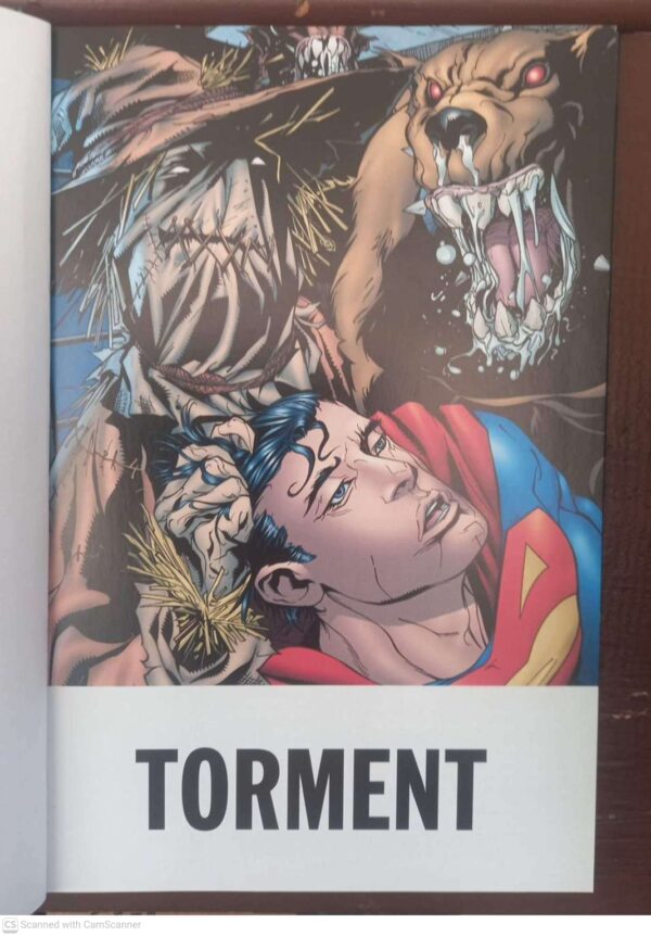 Torment 3 Superman / Batman: Torment (DC Comics Graphic Novel Collection, Vol. 60) secondhand book