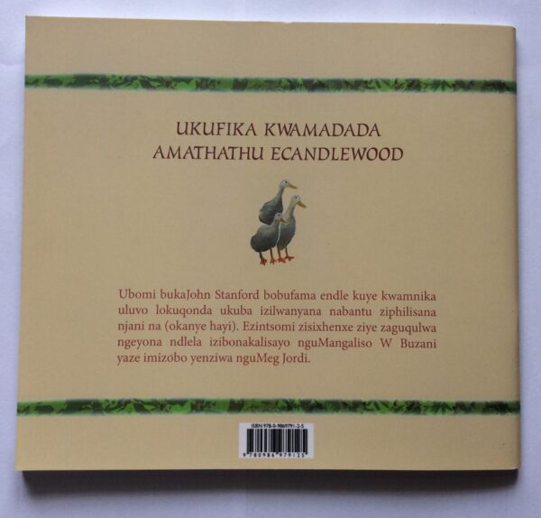 Ukufika Back Cover Ukufika Kwamadada Amathathu eCandlewood – nguJohn Stanford secondhand book
