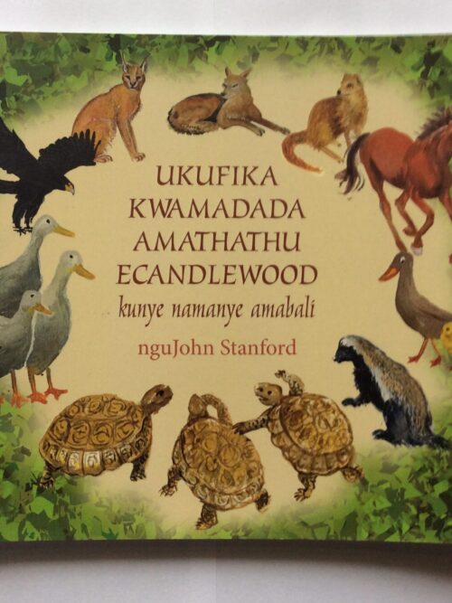 Ukufika Kwamadada Amathathu eCandlewood – nguJohn Stanford secondhand book