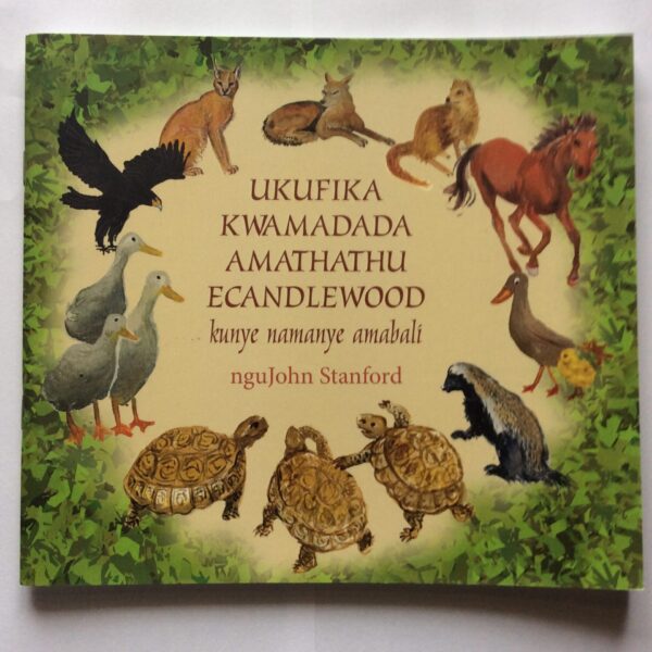 Ukufika Cover Ukufika Kwamadada Amathathu eCandlewood – nguJohn Stanford secondhand book