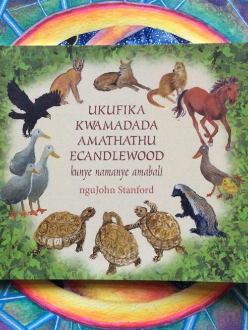Ukufika Kwamadada Amathathu eCandlewood – nguJohn Stanford secondhand book