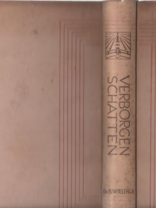 Verborgen Schatten — B. Wielenga secondhand book