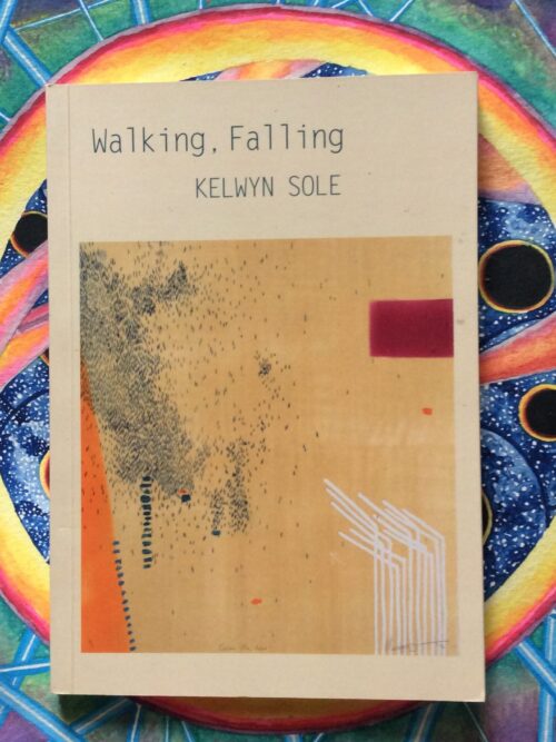 Walking, Falling – Kelwyn Sole secondhand book