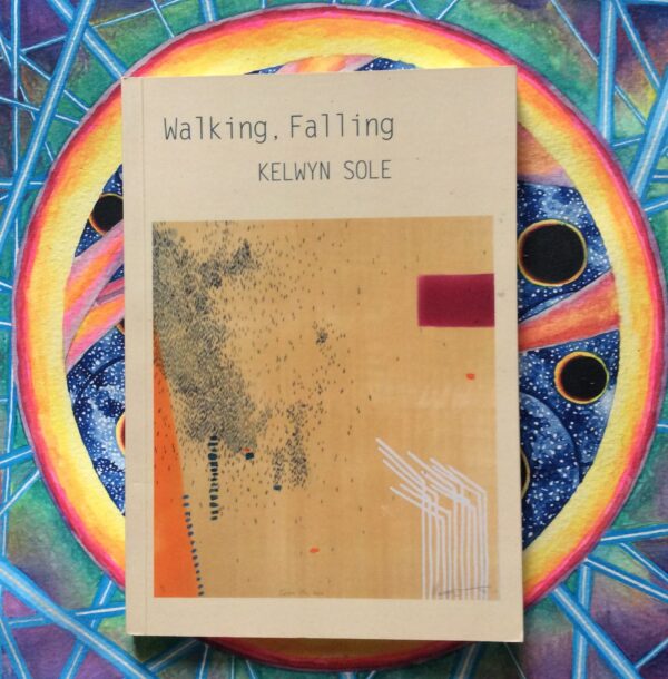 Walking, Falling – Kelwyn Sole secondhand book