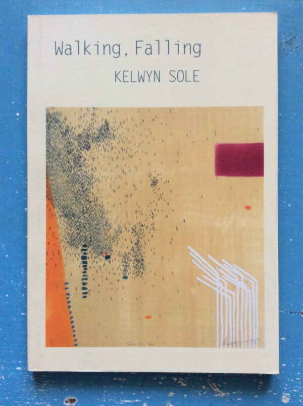 Walking, Falling – Kelwyn Sole secondhand book