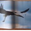Winged Migration6 Winged Migration — Jacques Perrin, Jean-Francois Mongibeau secondhand book