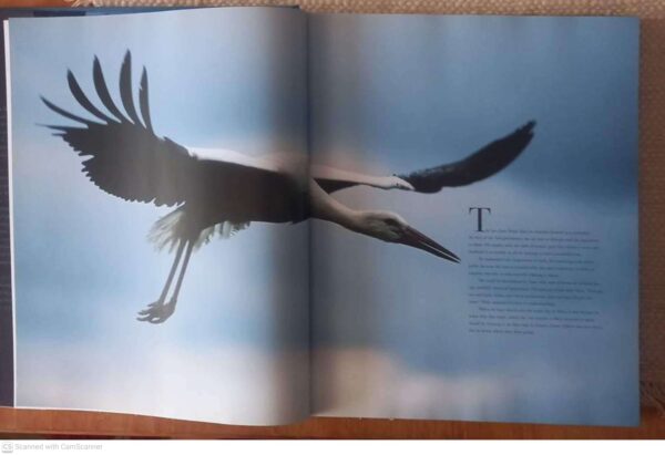 Winged Migration6 Winged Migration — Jacques Perrin, Jean-Francois Mongibeau secondhand book