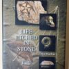 Life Etched In Stone: Fossils Of South Africa – Colin MacRae secondhand book