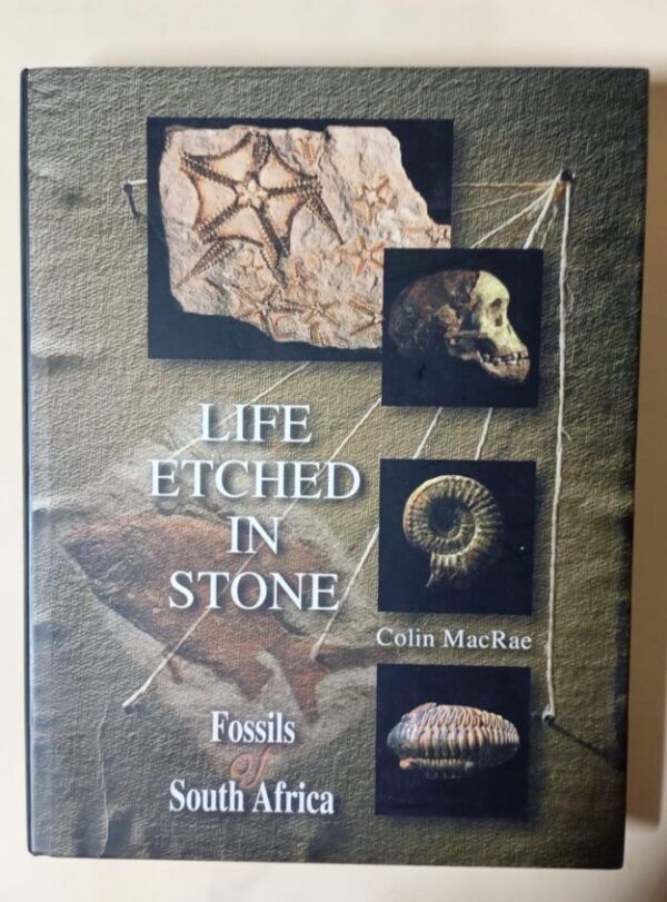 Life Etched In Stone: Fossils Of South Africa – Colin MacRae secondhand book