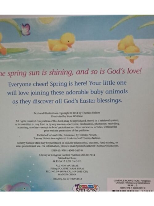 God Bless Our Easter – Hannah Hall secondhand book