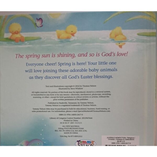 God Bless Our Easter – Hannah Hall secondhand book