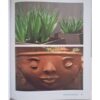 Focal Points And Features In Today’s Gardens – Suzette Stephenson, Louise Van Rooyen secondhand book