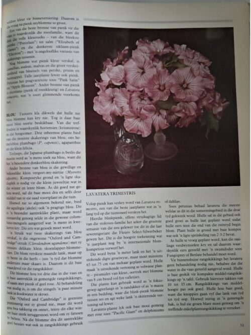 Van Tuin Tot Vaas – Owen A. Reid secondhand book