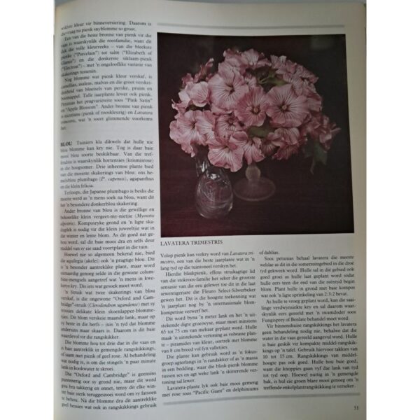 Van Tuin Tot Vaas – Owen A. Reid secondhand book