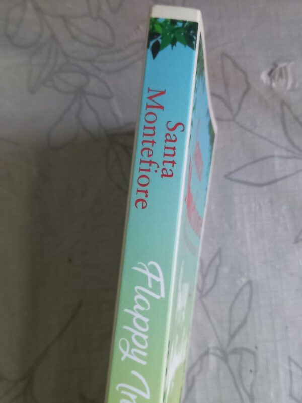 20260330_171033 Flappy Investigates – Santa Montefiore secondhand book