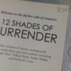 12 Shades of Surrender: Bound – Various secondhand book