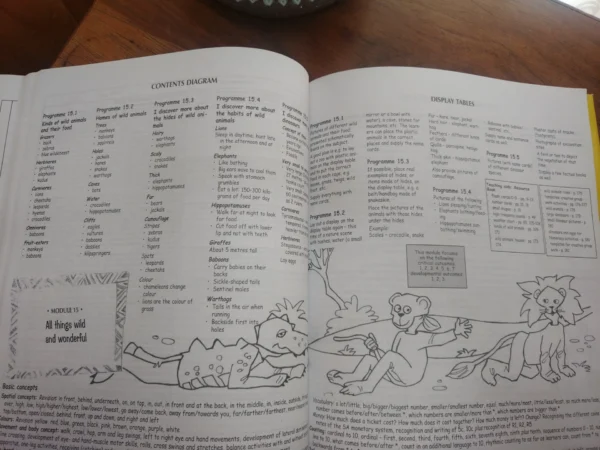 All-In-One: Integrated Learning Programmes Teacher’s Guide Grade R — Mart Meij Et Al. secondhand book