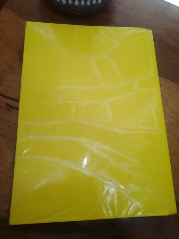 All-In-One: Integrated Learning Programmes Teacher’s Guide Grade R — Mart Meij Et Al. secondhand book