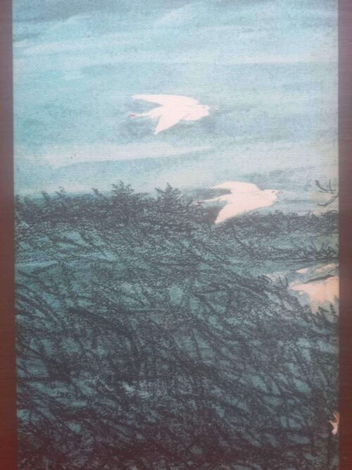 Dirkie Van Driekuil — Alba Bouwer secondhand book