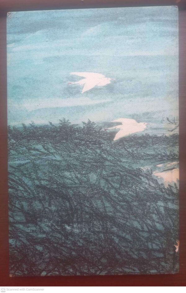 Dirkie Van Driekuil — Alba Bouwer secondhand book