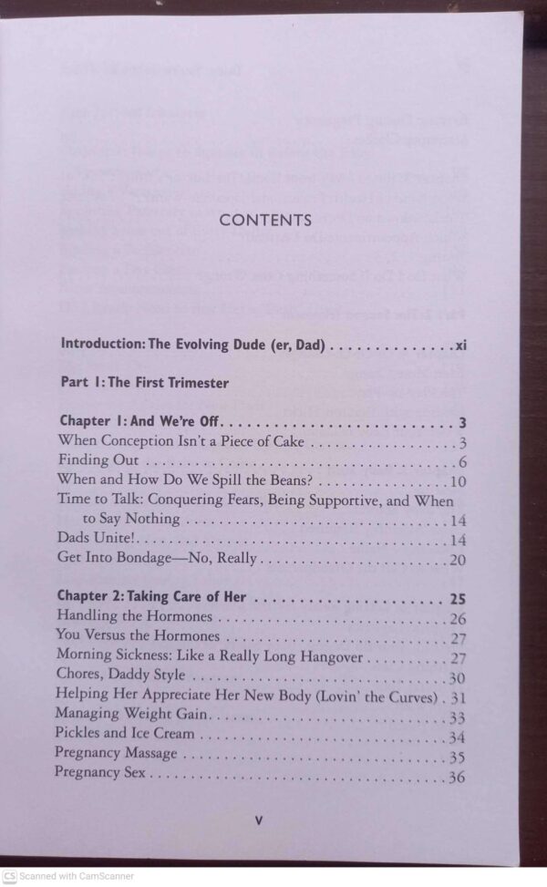 Dude, You’re Gonna Be A Dad! — John Pfeiffer secondhand book