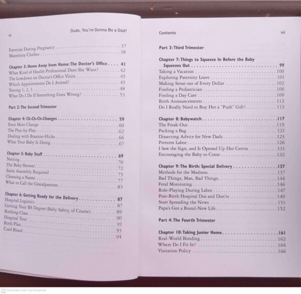 Dude, You’re Gonna Be A Dad! — John Pfeiffer secondhand book