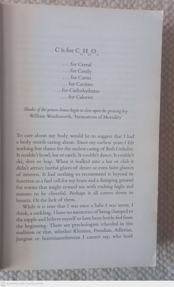 The Fry Chronicles: An Autobiography — Stephen Fry secondhand book