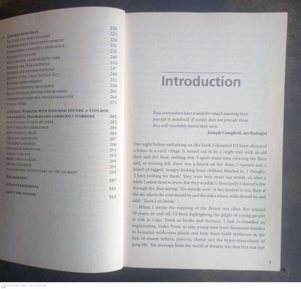 Gang Town — Don Pinnock secondhand book