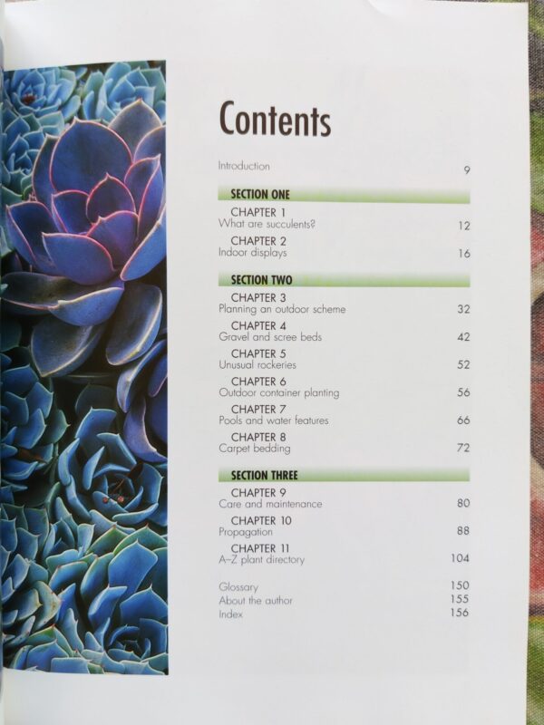 Success With Cacti And Other Succulents – Shirley-Anne Bell secondhand book
