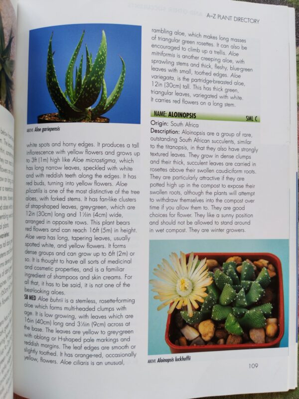 Success With Cacti And Other Succulents – Shirley-Anne Bell secondhand book