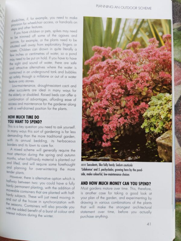 Success With Cacti And Other Succulents – Shirley-Anne Bell secondhand book