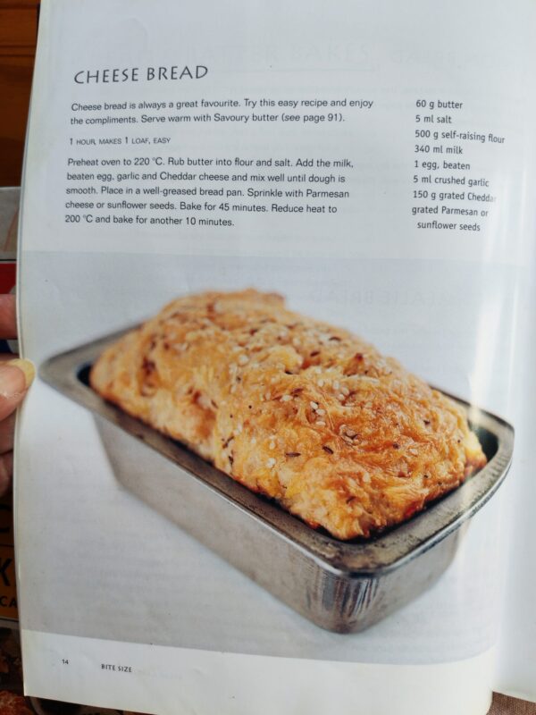 Bite Size Snacks For Every Occasion – Elsabé Van Vreden secondhand book