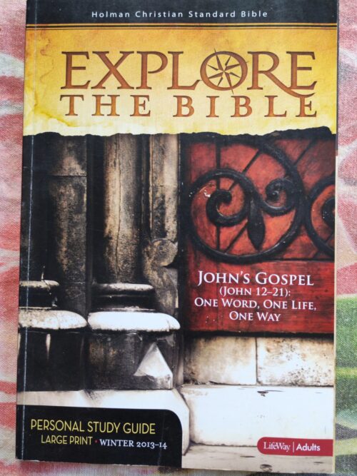 Explore The Bible – David Briscoe secondhand book