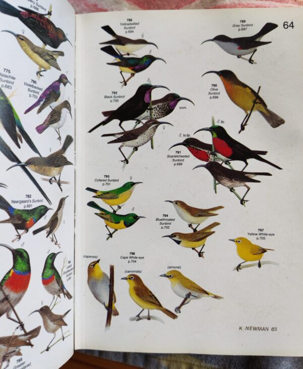 Roberts’ Birds of Southern Africa – Gordon Lindsay MacLean secondhand book