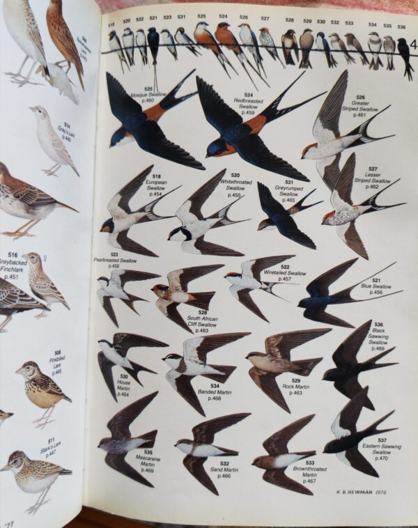 Roberts’ Birds of Southern Africa – Gordon Lindsay MacLean secondhand book