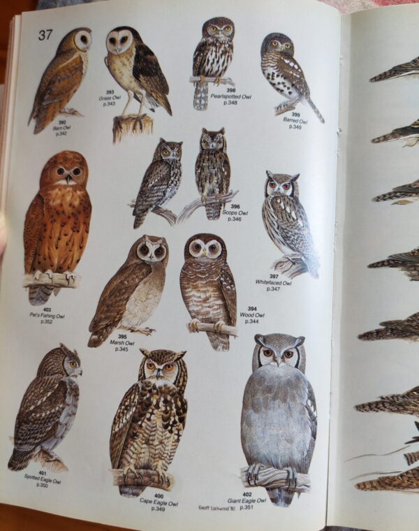 Roberts’ Birds of Southern Africa – Gordon Lindsay MacLean secondhand book